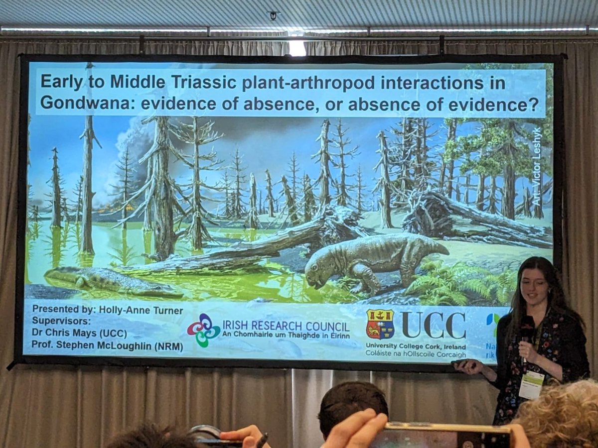 There were some amazing talks on fossil plants, insects and fungi at the #IPC #IOPC over the last couple of days. I presented my PhD research on plant-arthropod interactions too, thanks to everyone who came and asked me questions!