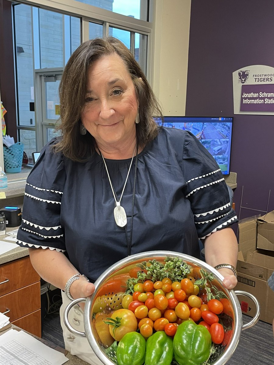 The final harvest at @FrostwoodElem brought bright beautiful tomatoes and bell peppers! 🍅 🫑 @readygrowgarden @HillaryHiler