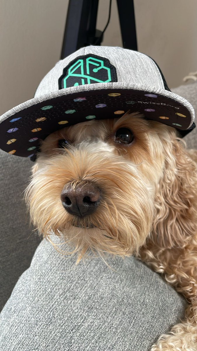 A good friend of mine sent me this pic of his dog: cutest ever! Borgy 4 ever
#SwissBorg