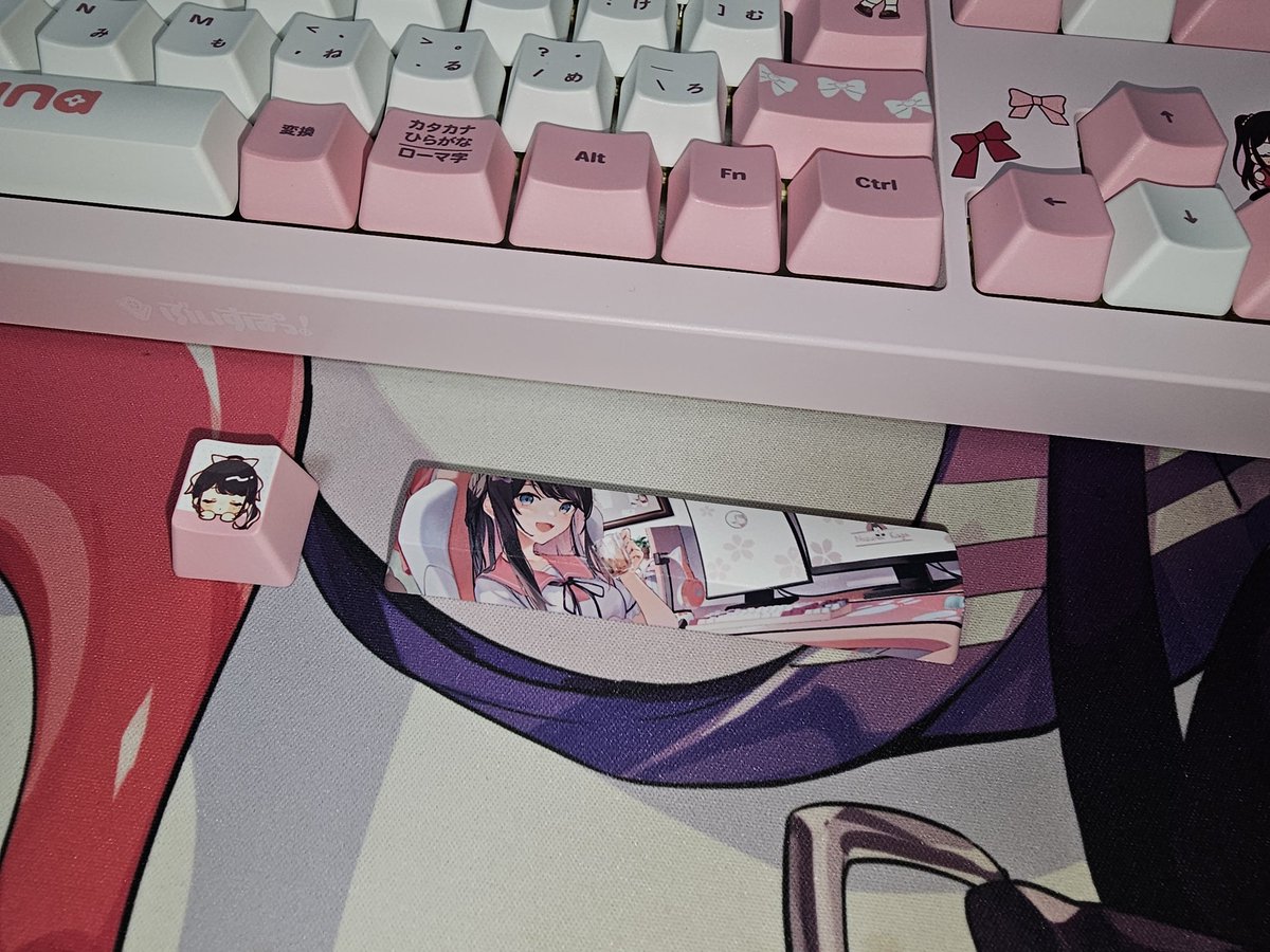 Rkyo_kyokai98's tweet image. ぶいすぽキーボード届いた🎁

最推しのなずちゃん✨

可愛くてまじで最高- ̗̀ ෆ( ˶&apos;ᵕ&apos;˶)ෆ ̖́-🩵🩶🩷

一生大事にする‼️

 #花芽なずな 
 #ぶいすぽ
 #VSPOGEAR