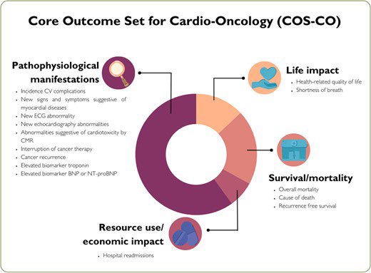 Our new paper #cardioonc #cardiooncology
@FrenchCardioOnc @SFCardio
@ICOSociety @franckthuny @UZBrussel @HeartBrussels @cardiopole @DrJESalem @oncology_cardio @escardio Thanks to the experts of the ESC Council for their help! doi.org/10.1093/ehjqcc…