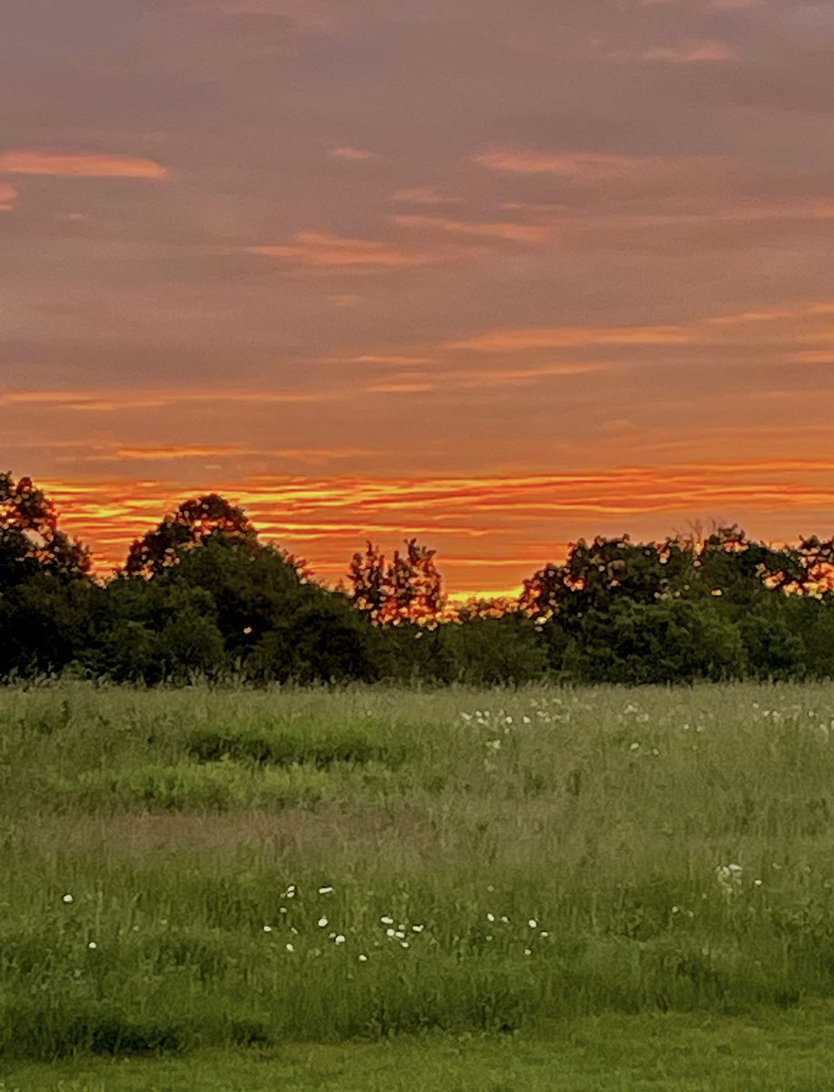 mpicsb's tweet image. GM!!