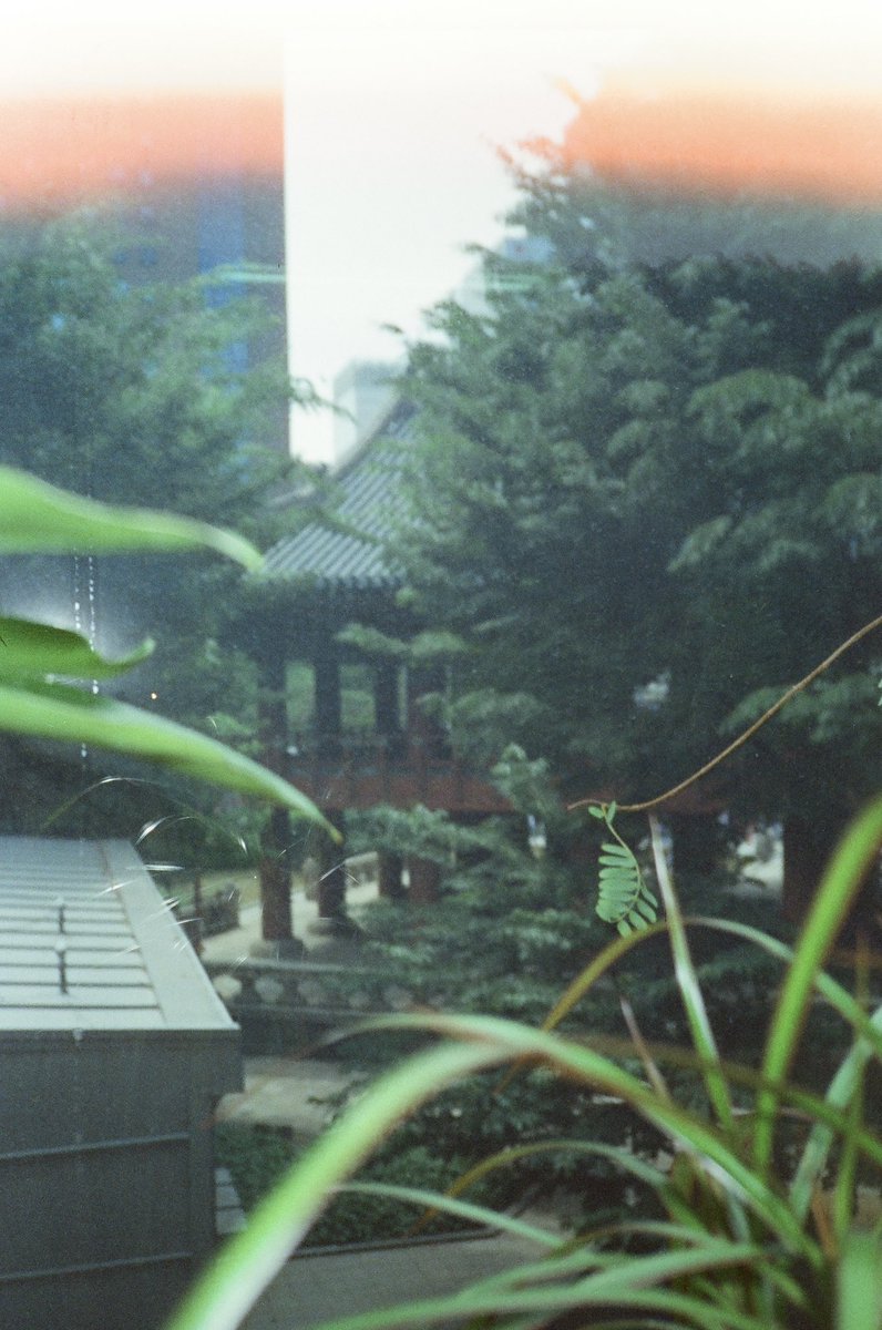record_seoul's tweet photo. 서울 커피 상회
#yashicat4 #candido800 https://t.co/DqHRC5aI43