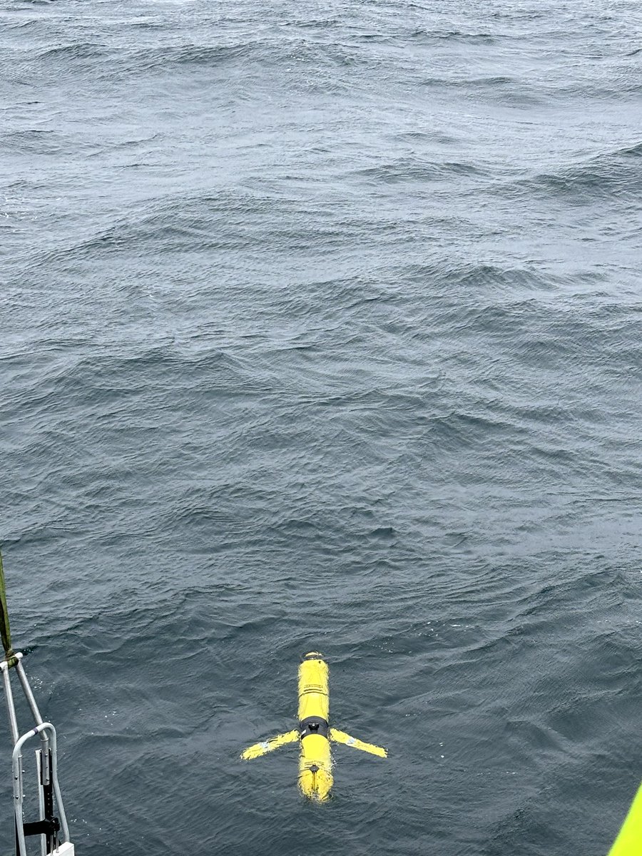BenGOcean's tweet photo. Our 4 gliders are away! We sent off 4 autonomous vehicles that will stay in the Icelandic basin collecting data until we retrieve them this fall.
@biocarbon_nerc https://t.co/xReoAIMUtL