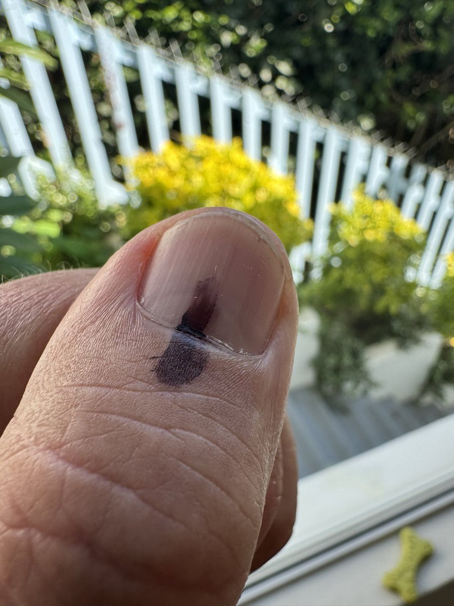 Another 3 ballots for <a href="/HermanMashaba/">Herman Mashaba</a>  <a href="/Action4SA/">ActionSA</a> - good luck guys !