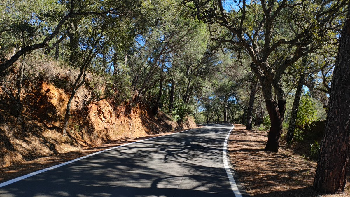 DipuHU's tweet photo. 🚧 @DipuHU invertirá un millón de euros para mejorar la #carretera HU-8105 que une #Cortegana con #Aracena
🔊#LinaresdelaSierra, #Alájar, #AlmonasterlaReal y #SantaAnalaReal verán mejoradas sus comunicaciones con el arreglo de este tramo de 18 km
➕ℹ️ https://t.co/uzIrdTx0UZ https://t.co/f9MnJuizAE