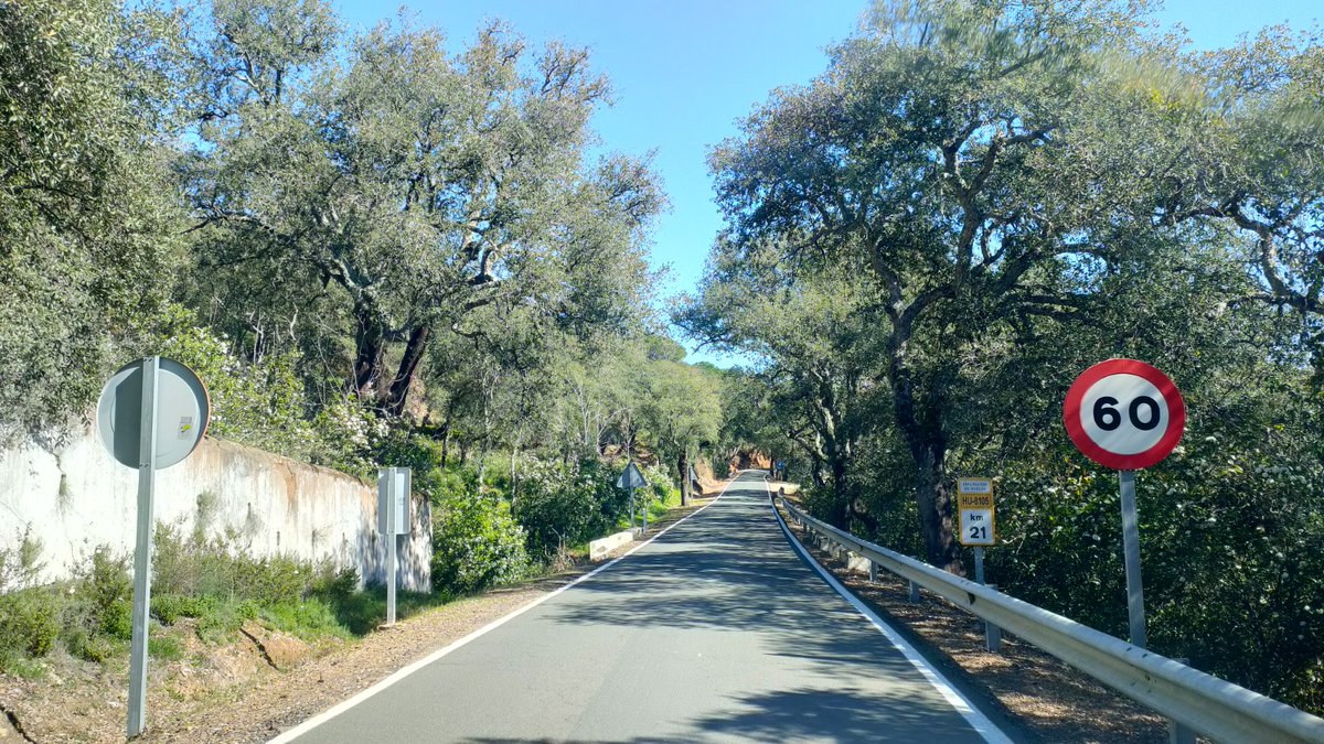 DipuHU's tweet photo. 🚧 @DipuHU invertirá un millón de euros para mejorar la #carretera HU-8105 que une #Cortegana con #Aracena
🔊#LinaresdelaSierra, #Alájar, #AlmonasterlaReal y #SantaAnalaReal verán mejoradas sus comunicaciones con el arreglo de este tramo de 18 km
➕ℹ️ https://t.co/uzIrdTx0UZ https://t.co/f9MnJuizAE