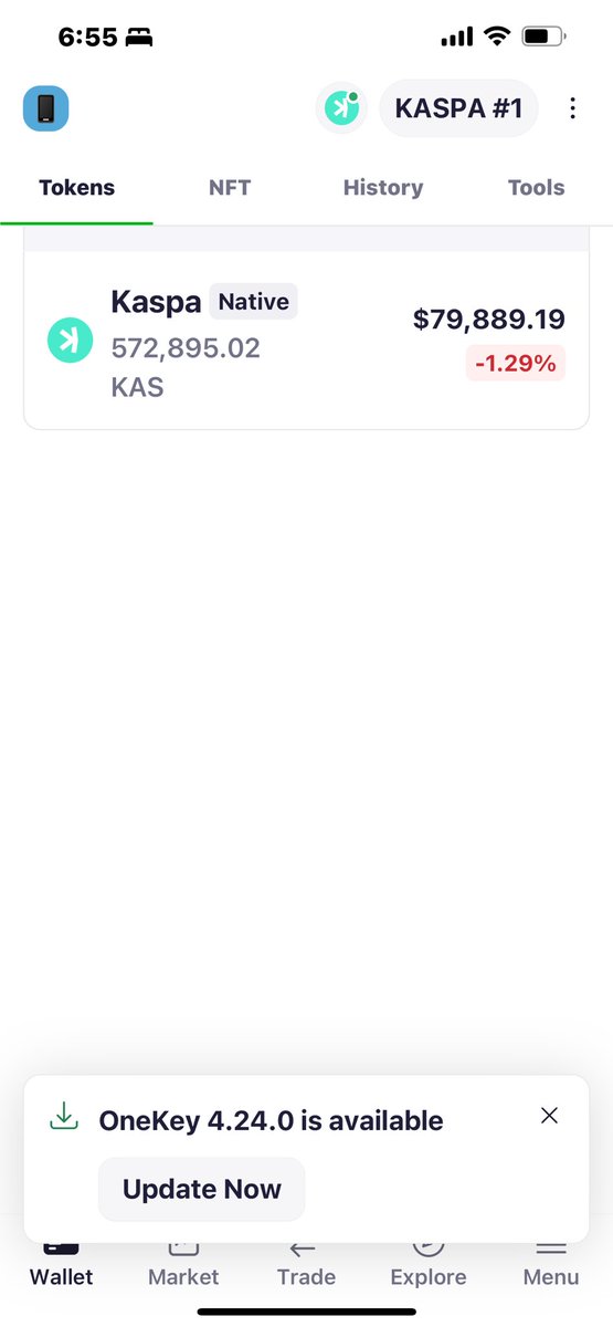 They all claim to be crypto lifers but they never show a bag,  I am more committed than Your favorite influencer shilling for you to buy their  bags. Let’s goo $kas kaspa baby. Do not get it twisted.