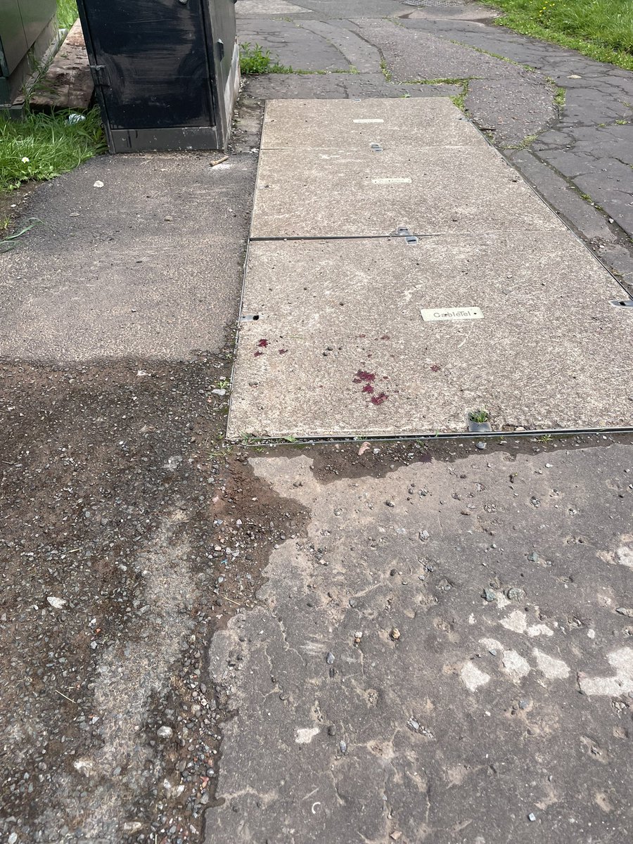 Cesario_D's tweet photo. State of your repair work @cardiffcouncil  
👍 https://t.co/lFKv1Z5ASE
