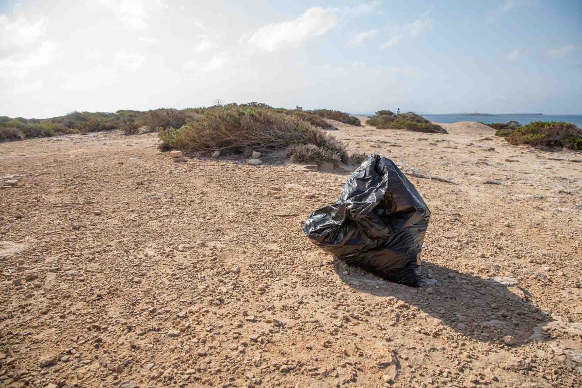 #Fotogalería | Voluntarios de la ONG Ocean Keepers salieron este martes a primera hora a limpiar las playas de ses Salines y es Cavallet. 

📸: Alejandro Mellon

ow.ly/HH6650RZO0K