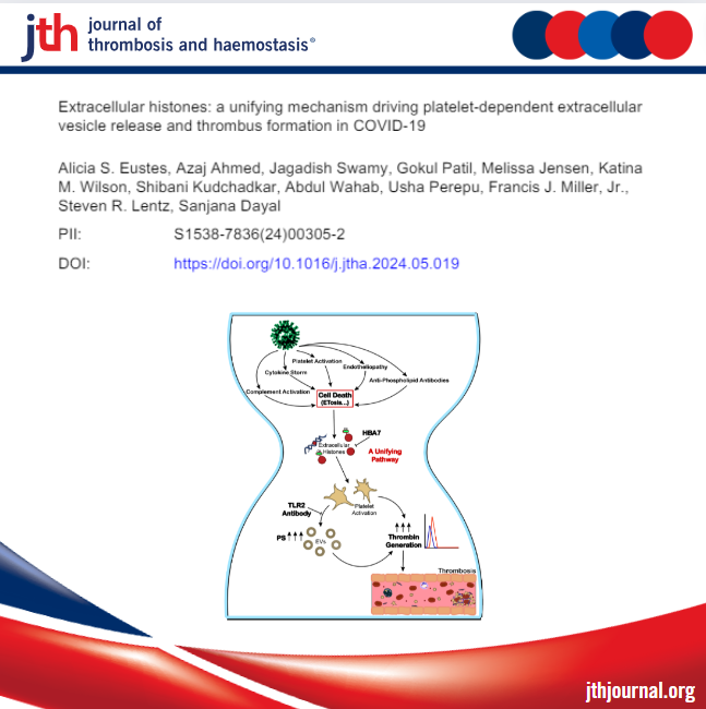 I am excited to share our findings related to COVID-19 coagulopathy. 

We show that extracellular histones in COVID-19 plasma ➡️promote #platelets procoagulant &
prothrombotic activity 
and represent unifying mechanism driving #thrombosis in #covid19
jthjournal.org/article/S1538-…
