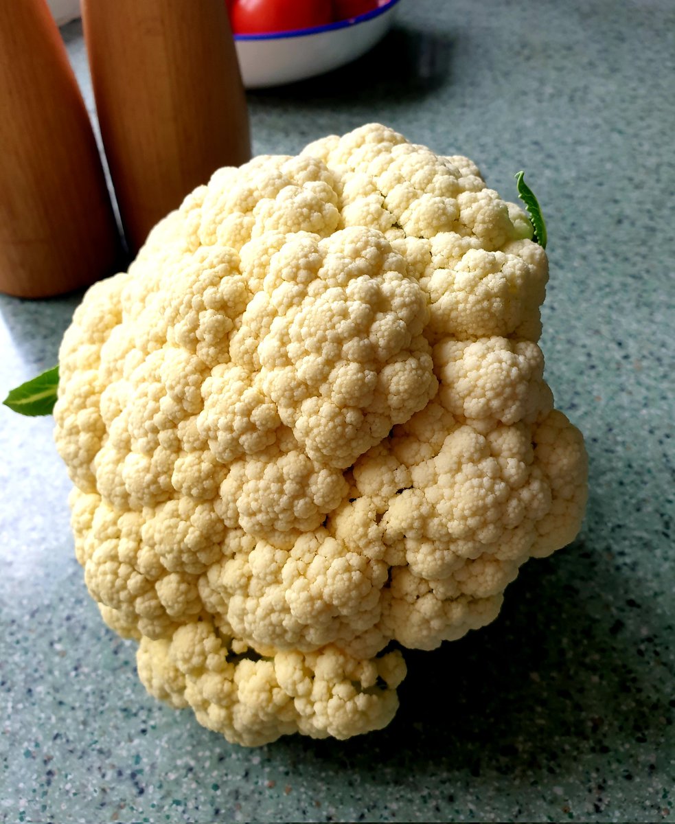 My husband knows the way to my heart is to bring me flowers, specifically homegrown over wintered cauliflowers from the greenhouse. Now, what to make for dinner? Any suggestions?