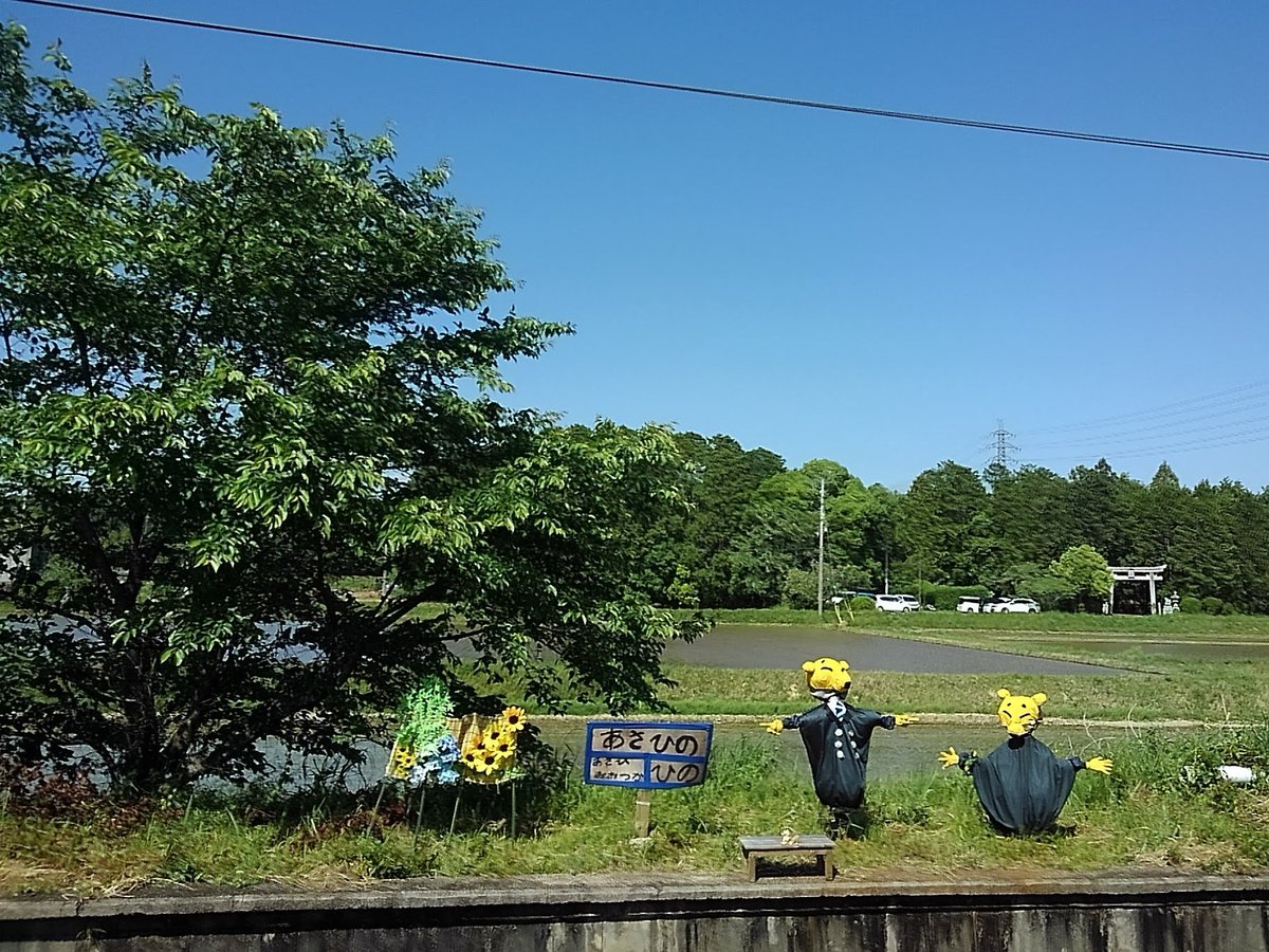 yasuhirockpile's tweet image. 朝日野駅のホームにいる近江鉄道の駅長がちゃこん案山子、色鮮やかな姿に蘇ってました！屋根を付けてあげたいです。
