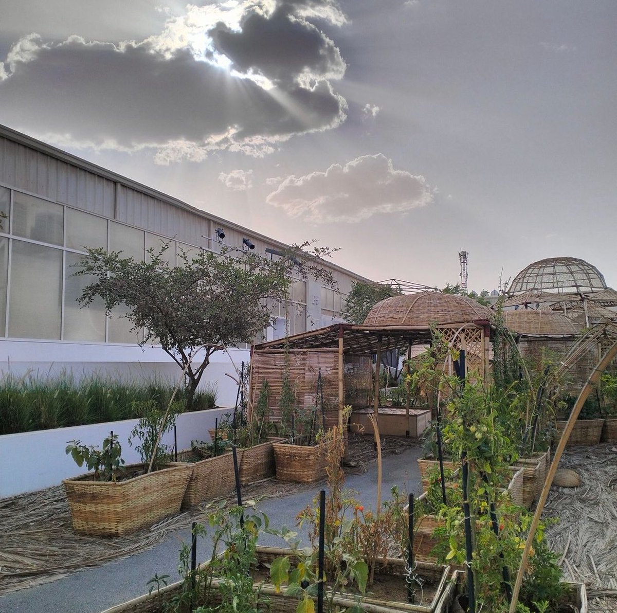 Art History professors Holiday Powers &amp; Monica Merlin recently visited the Diriyah Contemporary Art Biennale. The exhibition brought together regional &amp; international contemporary artists with a focus on human &amp; natural ecologies, &amp; showcased a unique selection of modern Arab art