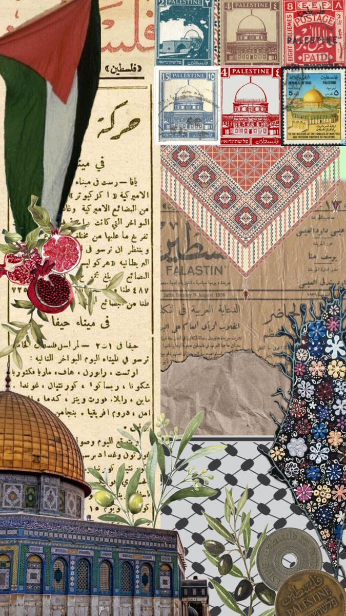 Hatice Kรผbra tweet media