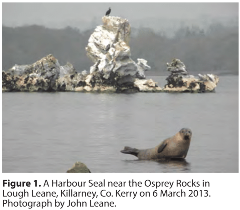 INJ-Journal tweet media