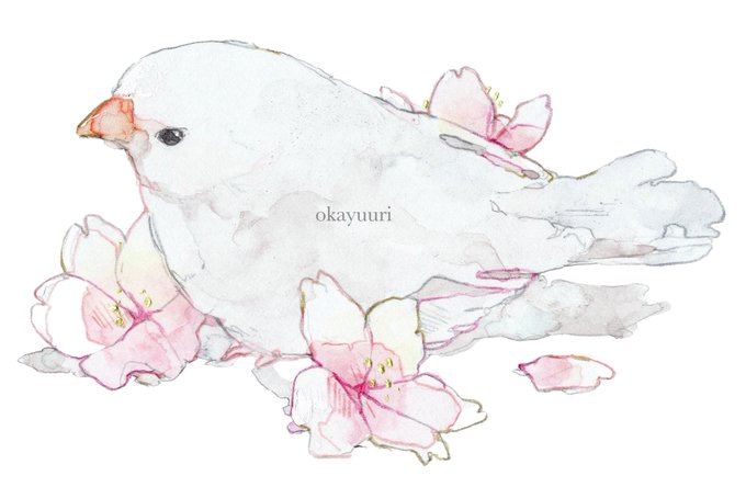 「flower pink flower」 illustration images(Latest)｜3pages