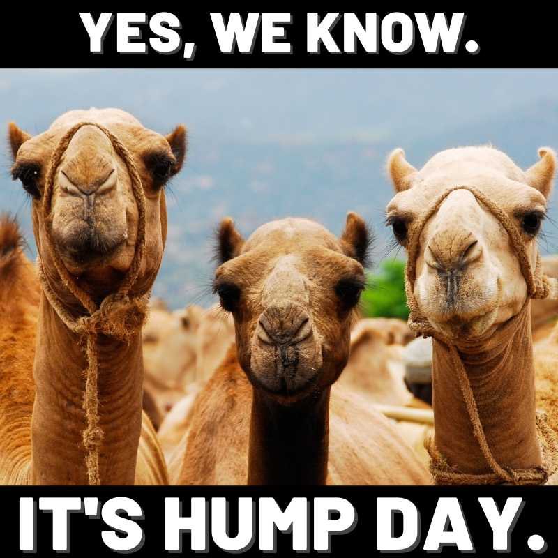 You know what day it is?
😃♥️🌎🤘🤘🍺😂😂