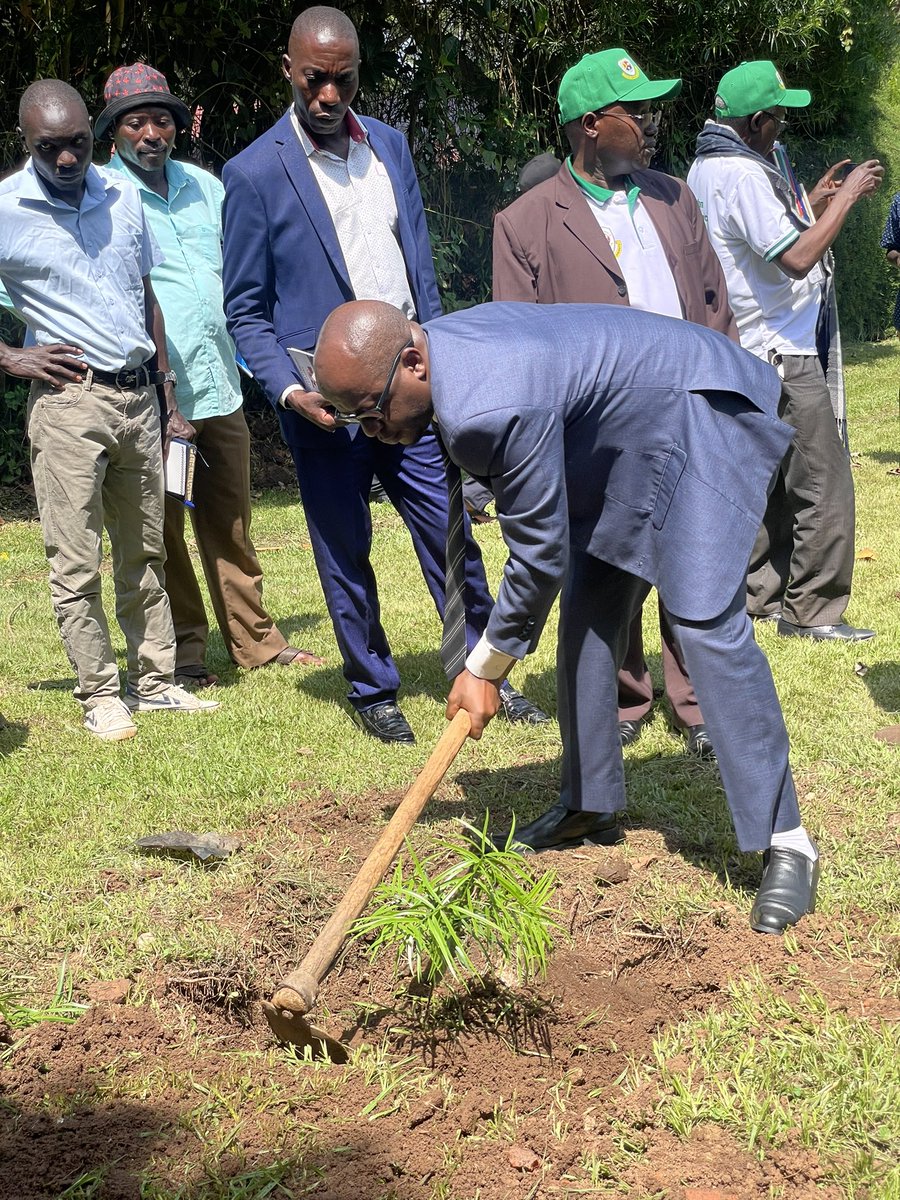 As we approach World Environment Day , on June 5th , @umunkozi , NEMA and partners have launched the Equatorial Greenbelt initiative . 4 million trees will be planted in communities adjacent to the belt and 1million tonnes of CO2 will be sequestered every year. #WED2024