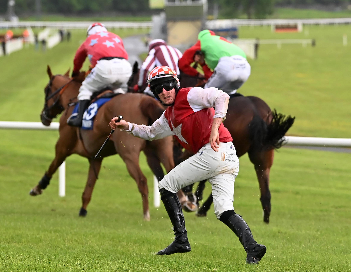 Caption this shot from Ballinrobe last night 🏃‍♂️ 📸: Healy Racing