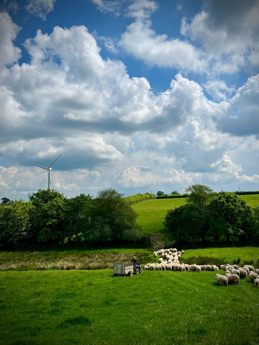 Torridge and  Tavistock depends on farmers and so many Liberal Democrats are in the local farming community. I am horrified at the last 14 years of Tory neglect and will work hard to give our rural communities the respect they deserve!  #itsgottobephil