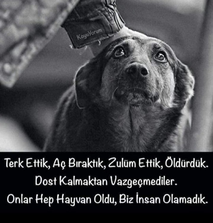 Onlara dokunanlar kendilerine cehennemin kapılarını açar ..
 #emekliyeistanbulmitingi