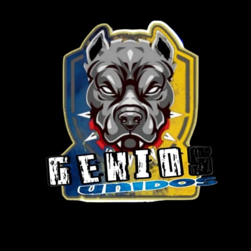 Para fifa 25 GENIOS UNIDOS abre sus puertas a pruebas que quieran estar en este proyecto serio,buscamos TODAS las posiciones menos portero,se agradece RT