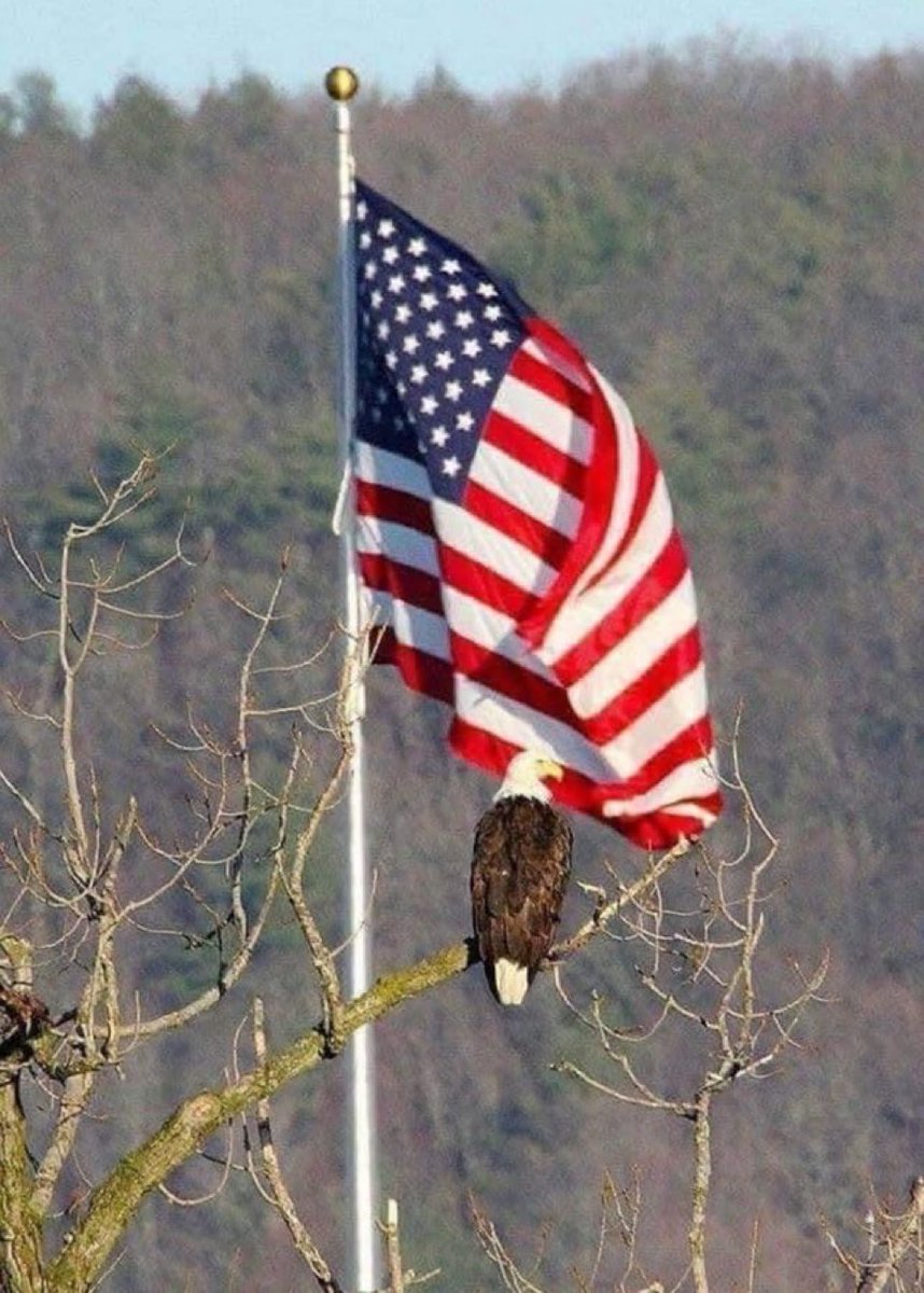 Good morning Patriots! 🦅 🇺🇸