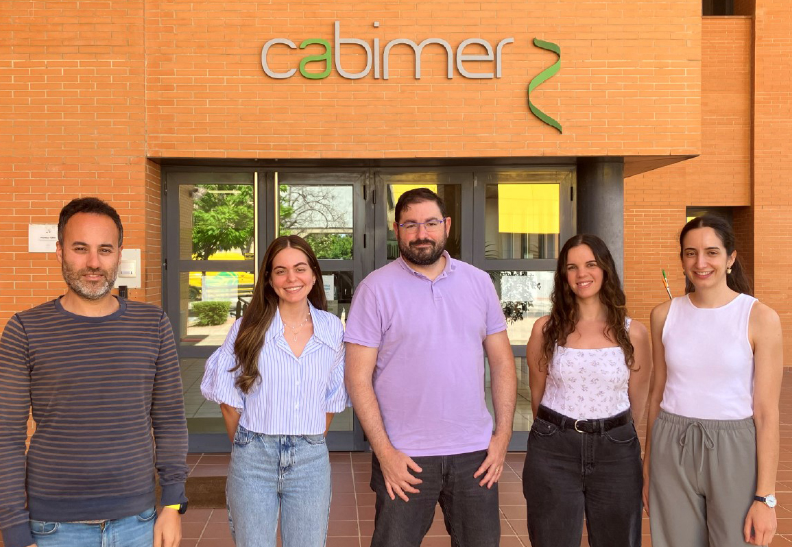 unisevilla's tweet photo. 🔍#CienciaUS | Descubierto el papel en la replicación del #ADN del principal gen causante del #cáncer de mama y ovarios hereditario

🔬 El hallazgo ha sido posible utilizando una técnica desarrollada por el grupo de investigación del profesor Román González-Prieto [+] https://t.co/gMZ745Kn4D
