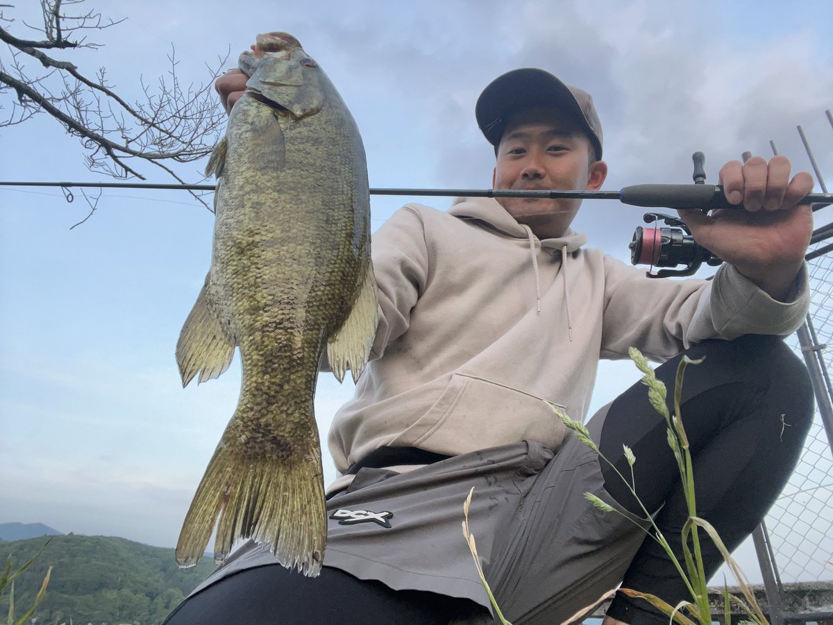 hanai_junpei's tweet photo. 毎年恒例な野尻湖🐘

結構な量準備したSVSB、イモグラブが全て無くなるほどの釣果💦

ストラクチャーに対してSVSBのピリピリフォール🪲
狙い目ないとこはイモグラブ🍠
こんな使い分けで今の野尻湖は安定です🧐

景色もめちゃ良い野尻湖
行かれる方は準備お忘れなく🫡

#野尻湖 #SVSB #ディスタイル https://t.co/DuA2tRrDrS