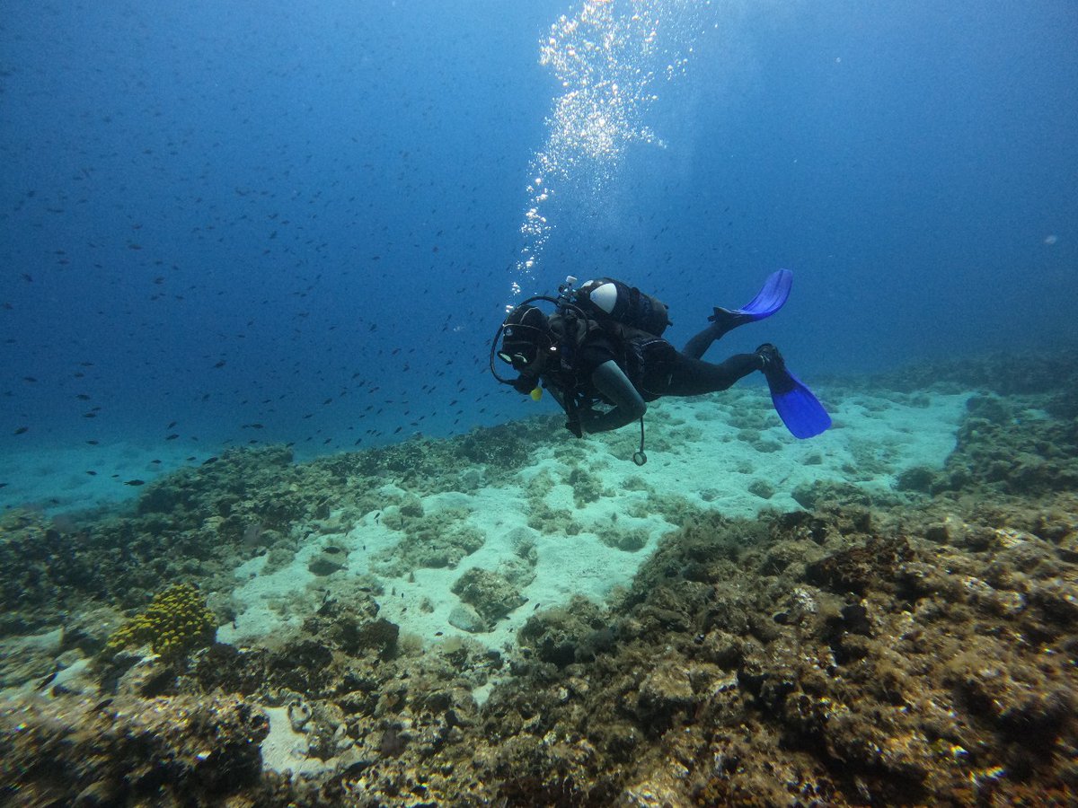 Atlantis__SA's tweet photo. 🌊The first ART4SEA Artist-in-Residency Program in Alonissos has been successfully completed! 🎨

Learn more about ART4SEA: https://t.co/wNZAzYZrhg
Stay tuned for the next steps of Art4sea in Alonissos: https://t.co/dxpRDfuS1Z https://t.co/Xp181dg2qm