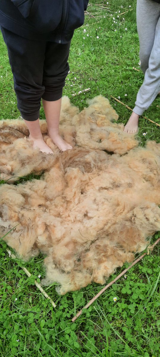 Collège Saint Exupéry SJDB tweet media