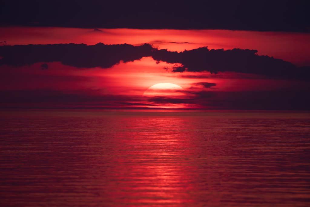 lakeerieastro's tweet image. Sunset @PresqueIsleSP the other night. I'm on the hunt for the green flash!

#sunset #teamcanon