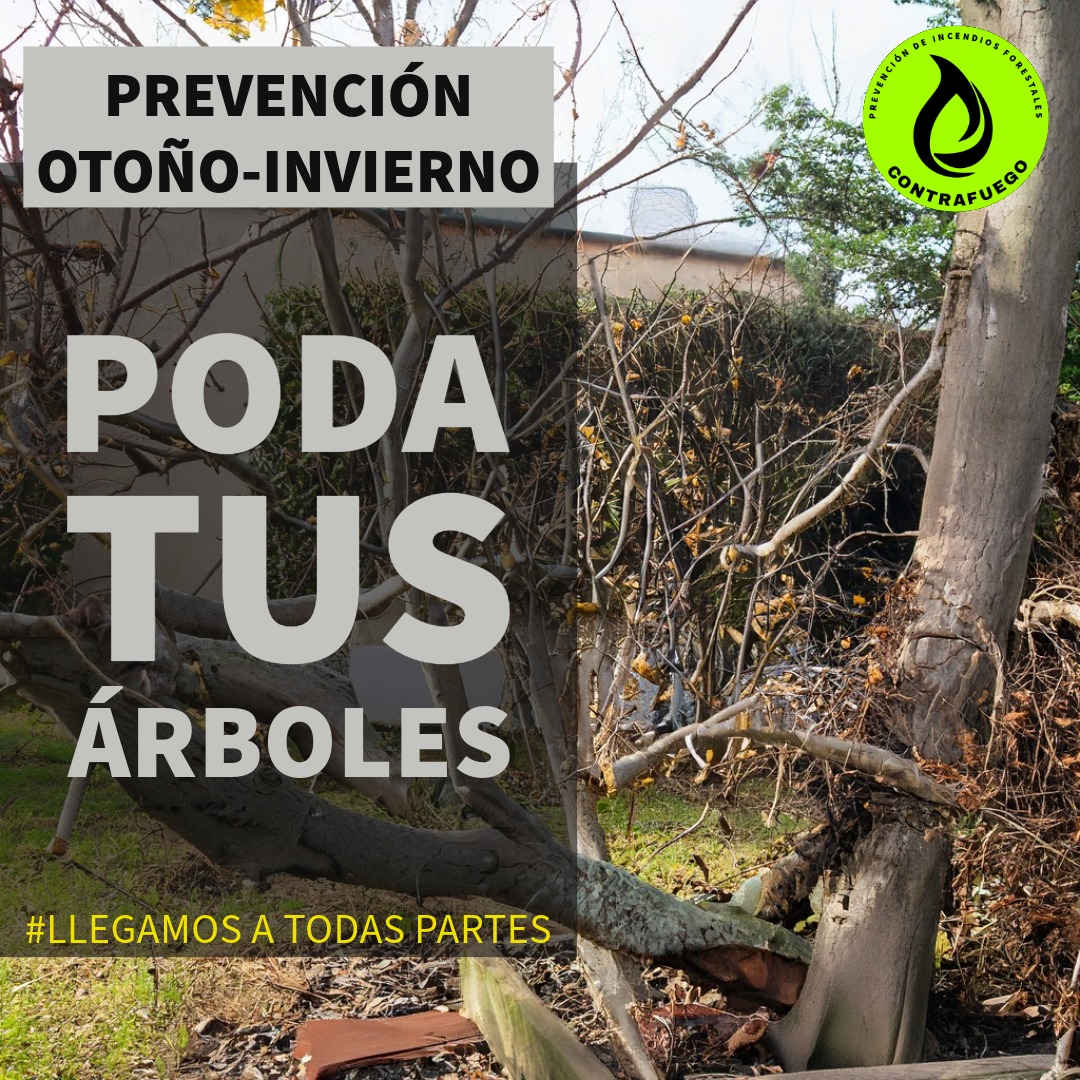 *Estación Curacaví *

*Hoy*: Cielo parcialmente cubierto. Máxima de 22°C. Vientos del SSE y variable.

Temperatura: 6.9°C
Mínima hoy: 5.1°C (02:52)
Humedad ambiental: 95%
Ráfagas de Viento: 3 km/h

climatologia.meteochile.gob.cl/application/di… ▫️