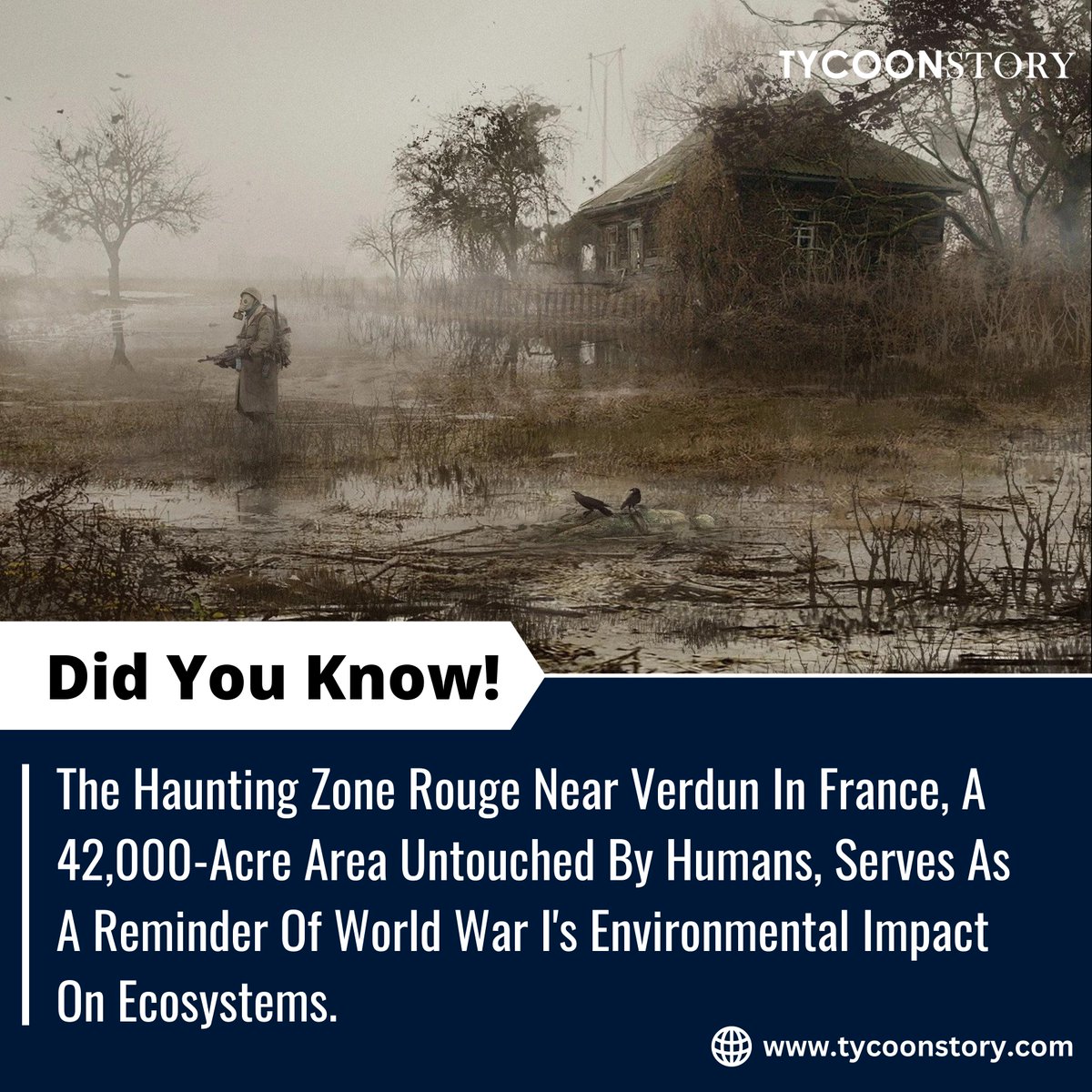 #DidYouKnow

#zonerouge #verdun #WWII #ecosystemservices #historicalsites #NaturePreservation #warremnants #humanhistory #remembrance #naturalheritage #ConservationEfforts #historicallandmark #battlefields #historicalfiction #worldwarimemorial

tycoonstory.com