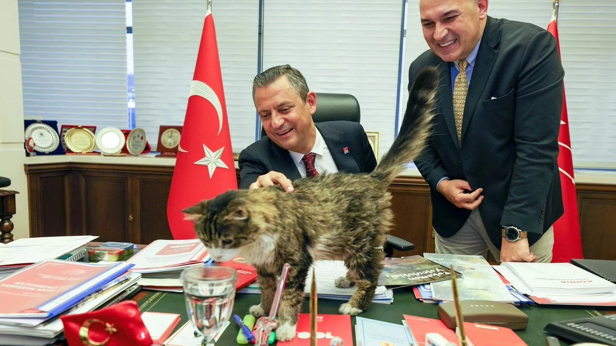 CHP Genel Başkanı Özgür Özel, parti genel merkezinde bakılan ve bir süredir hasta olan kedi 'Şero'nun taburcu edildiğini duyurarak, 'Hayvan hakları konusunda partimizin hattı ve duruşu, Şero'nun hassasiyetleriyle aynıdır' ifadesini kullandı.