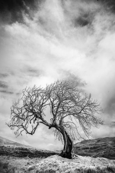 Waiting For the Rain The sun shines hot on the roofs in the town; The birds are quiet;the grass is brown. Behind the cars the dust flies high, The trees are grey;the stream is dry. Tomorrow will be the same again, Or will it rain? Nwando Obianyor Photo : Peter Paterson