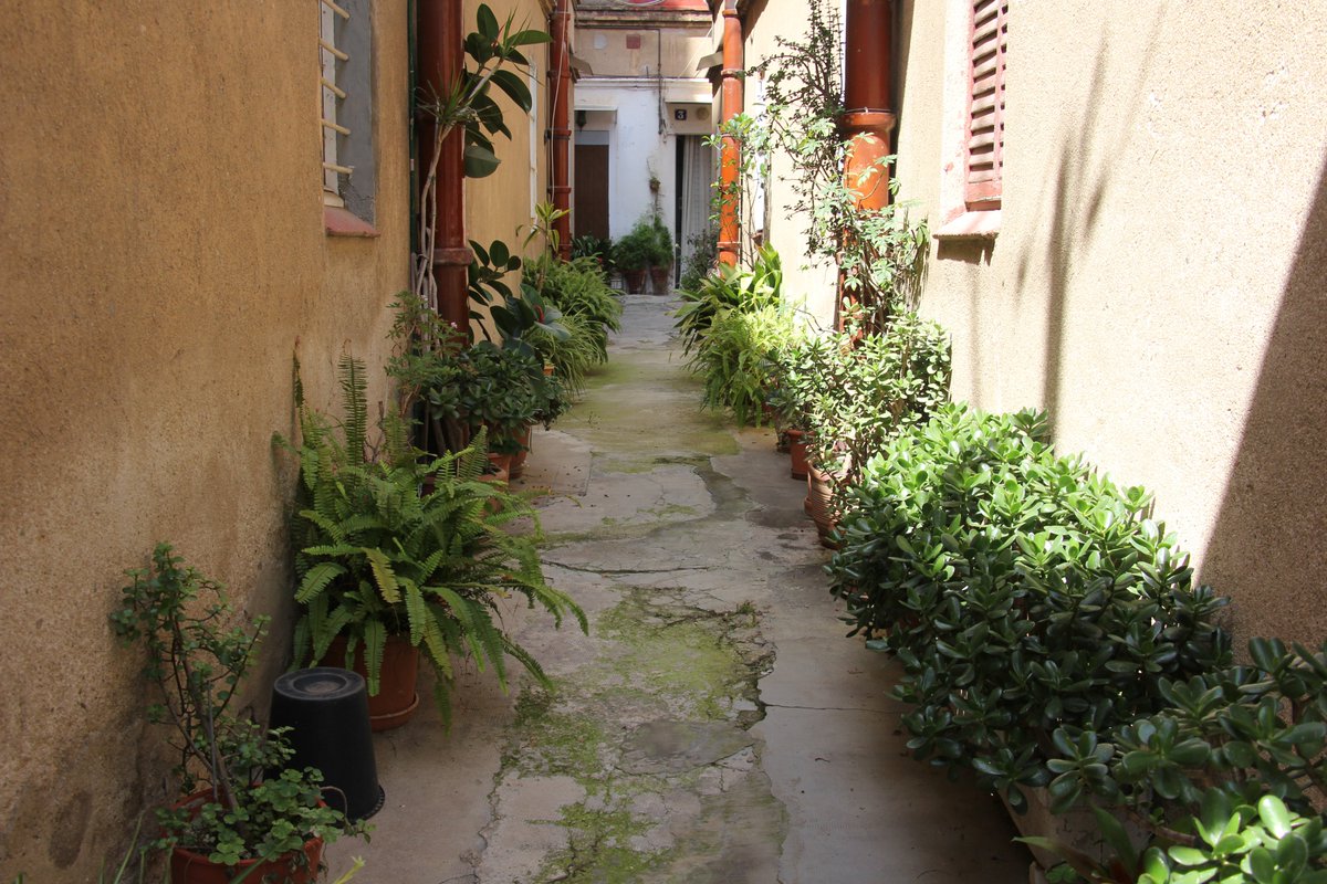 Este pasajito del carrer Villar del Guinardó data de 1885. Sólo sobrevive un vecino en todo el conjunto, un resistente. Todo irá al suelo para un nuevo bloque de pisos y nadie del Ayuntamiento ha evaluado el espacio desde su valor patrimonial porque su meta es especular.