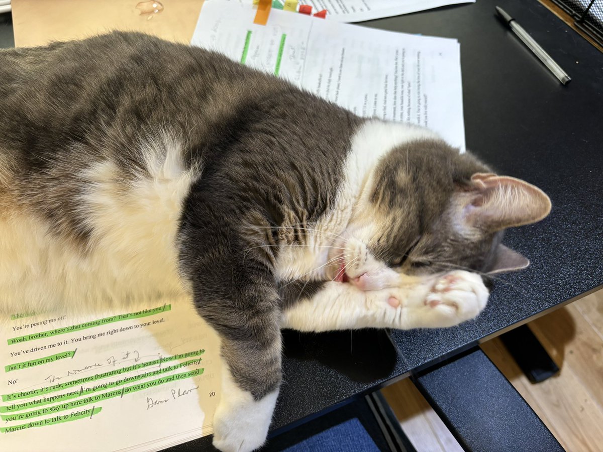 TerryBamberger's tweet image. Yeah…YOU try learning lines like this! 💗😹 #actorslife #gratefulactor #casting @talent_ap