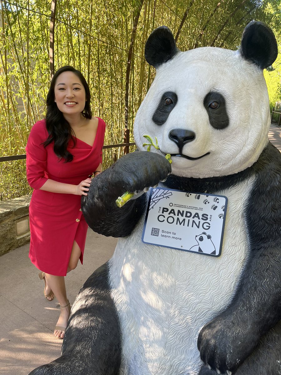 BREAKING 🐼: Two new giant pandas are coming back to DC by the end of the year! Bao Li and Qing Bao are part of a 10-year research and breeding agreement. In November, Tian Tian, Mei Xiang, and their cub Xiao Qi Ji returned to China. @7NewsDC
