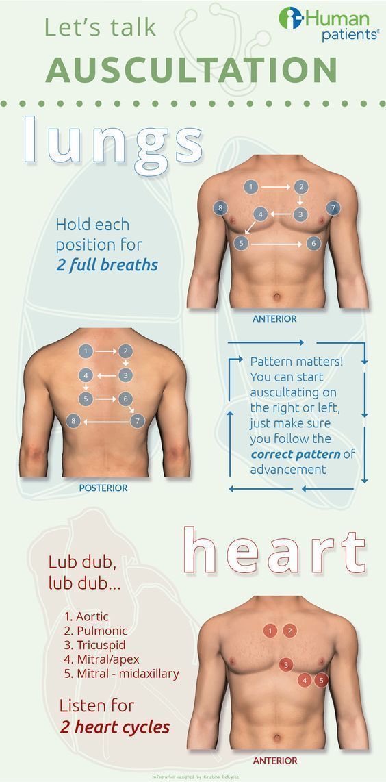 Auscultation primer