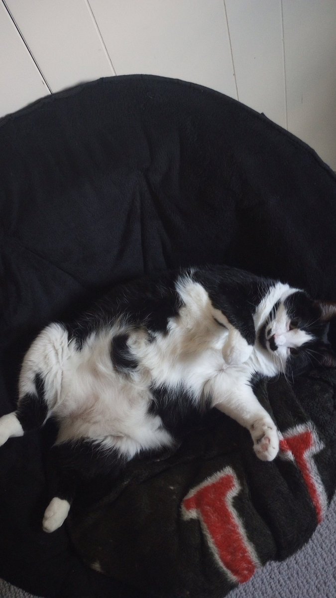 no porn today just my precious girl <3 :)