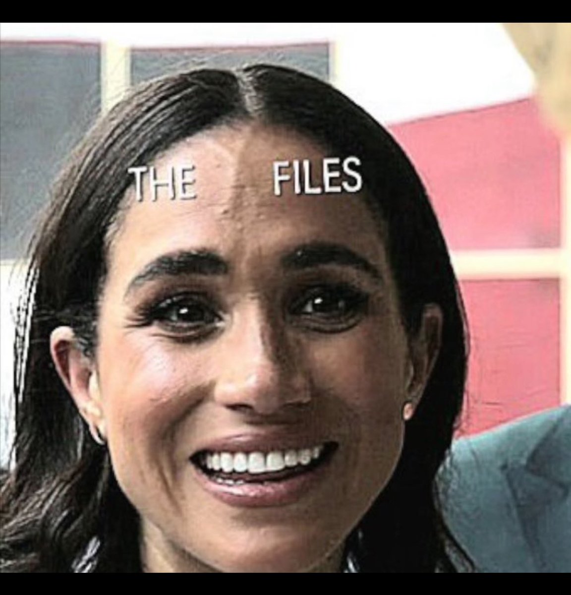 HeidiDundas_'s tweet photo. @ejeanedwards I would have a face like smacked arse if I had to spend time with Meghan 

#HarryAndMeghanAreNotRoyal 
#MeghanIsNothingWithoutTitles 
#MeghanMarkleLies
#StepDownHarry https://t.co/MHD9wrkKnl