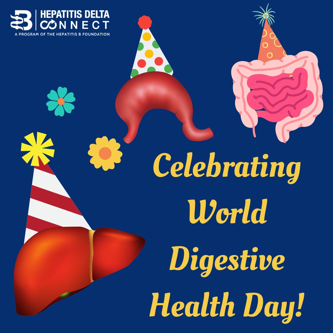 It's #WorldDigestiveHealthDay! Our #digestive systems - and particularly our livers - do so much for us. Learn more about the incredible organ that is your #liver with this recent blog post: hepb.org/blog/cannot-li…