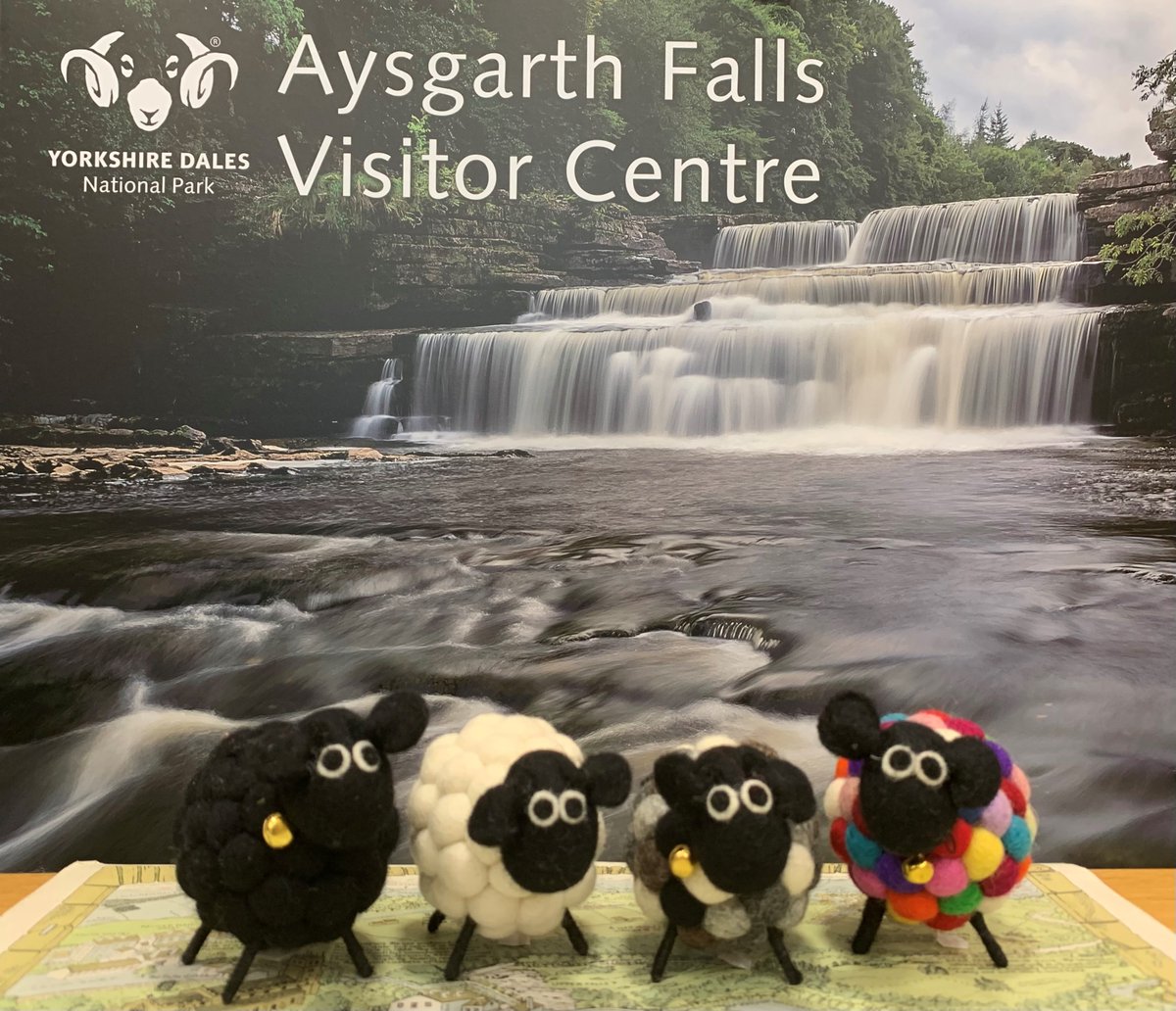 We get a wide range of visitors to the #Aysgarth Falls Visitor Centre - including these woolly ones! 🐑 Wonder where we'll see them next 🤔

They're part of a new range at our National Park Visitor Centres here and, in #Malham, #Hawes and #Grassington.

👉 yorkshiredales.org.uk/plan-your-visi…