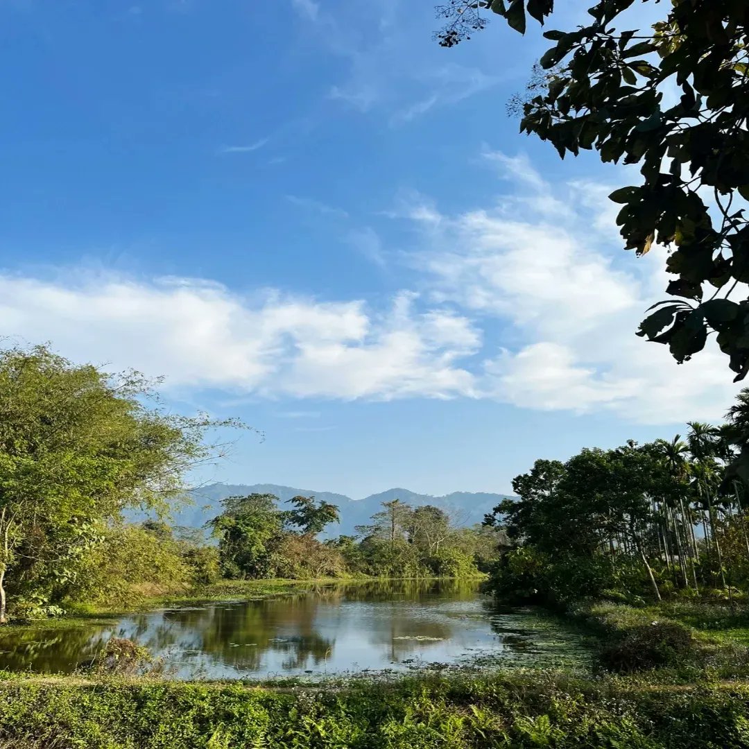 Escape the hustle and bustle of city life and immerse yourself in the serenity of Niuland's tranquil pond. 🌿 From calming ripples to vibrant wildlife, discover nature's beauty at its finest. Join us for a rejuvenating getaway! #Niuland #TranquilPond #NatureLovers