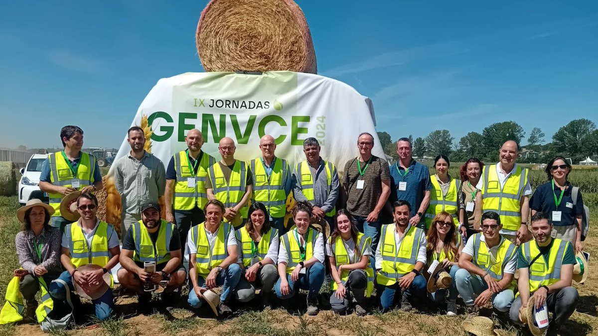 Nuestras compañeras de #Experimentación de #INTIA, Lucía Sánchez y Amaia Caballero, forman parte del equipo técnico @GENVCE en las IX Jornadas #GENVCE en Valladolid y en la finca Zamadueñas. ¡Enhorabuena a la organización! #JornadasGenvce2024 🌾 jornadasgenvce2024.com