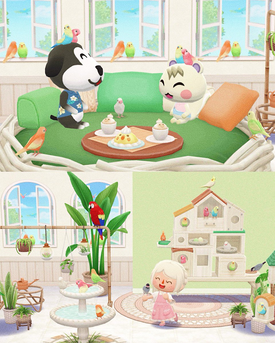 a home for birds 🦜🤍

#acpc #pocketcamp #animalcrossing #ポケ森