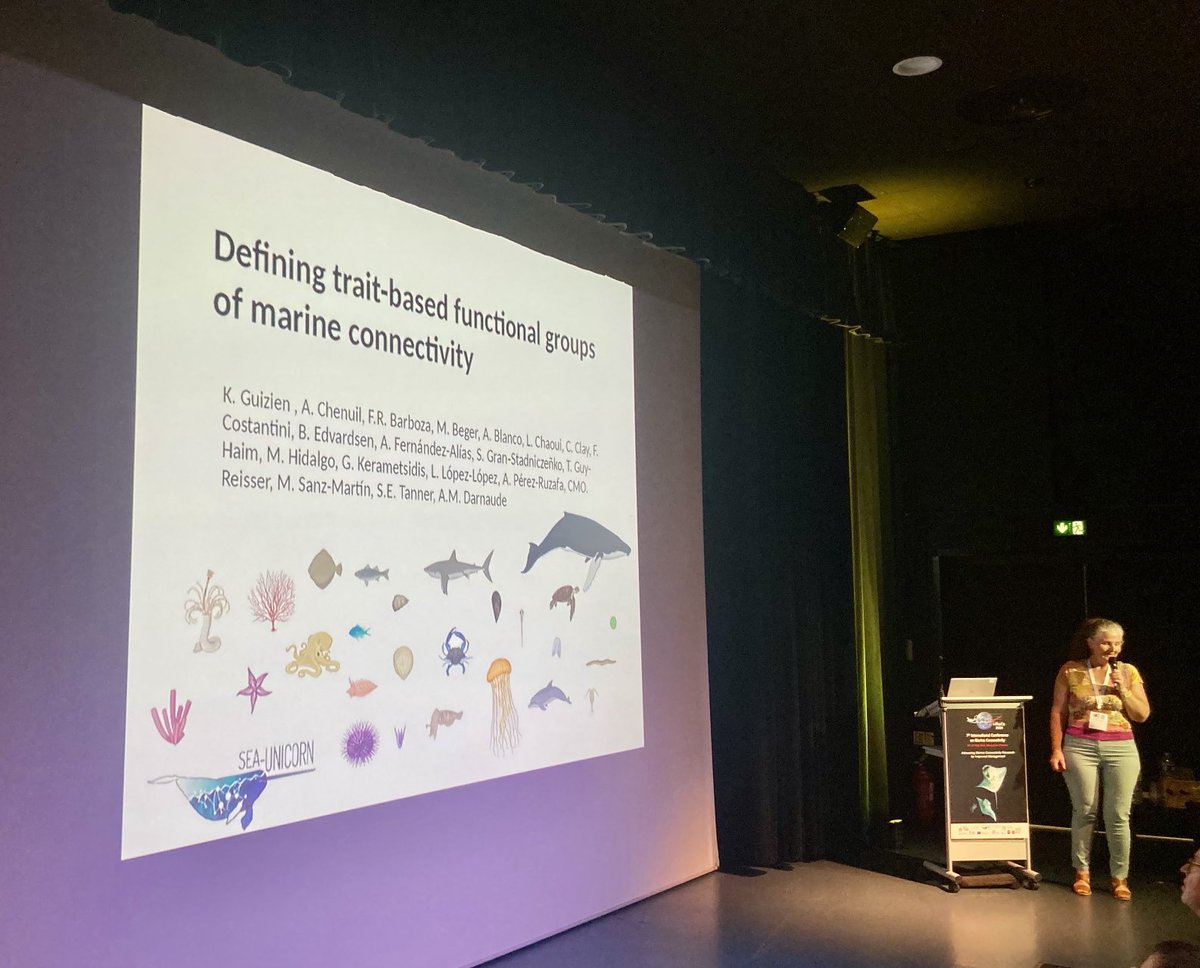 ADarnaude's tweet image. Katell Guizien presenting the first results of the current efforts by ⁦@SeaUnicorn2020⁩ members to identify functional traits of connectivity and define connectivity guilds at the #imarco2024 conference!