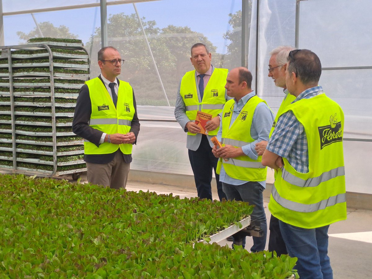 La campaña de prevención del golpe de calor en el trabajo incluye información, asesoramiento a empresas y formación técnica. 

☀️ El ISSL difunde 2.500 dípticos informativos entre empresas, trabajadores y agentes sociales y económicos.

🔗 acortar.link/g0qex9
